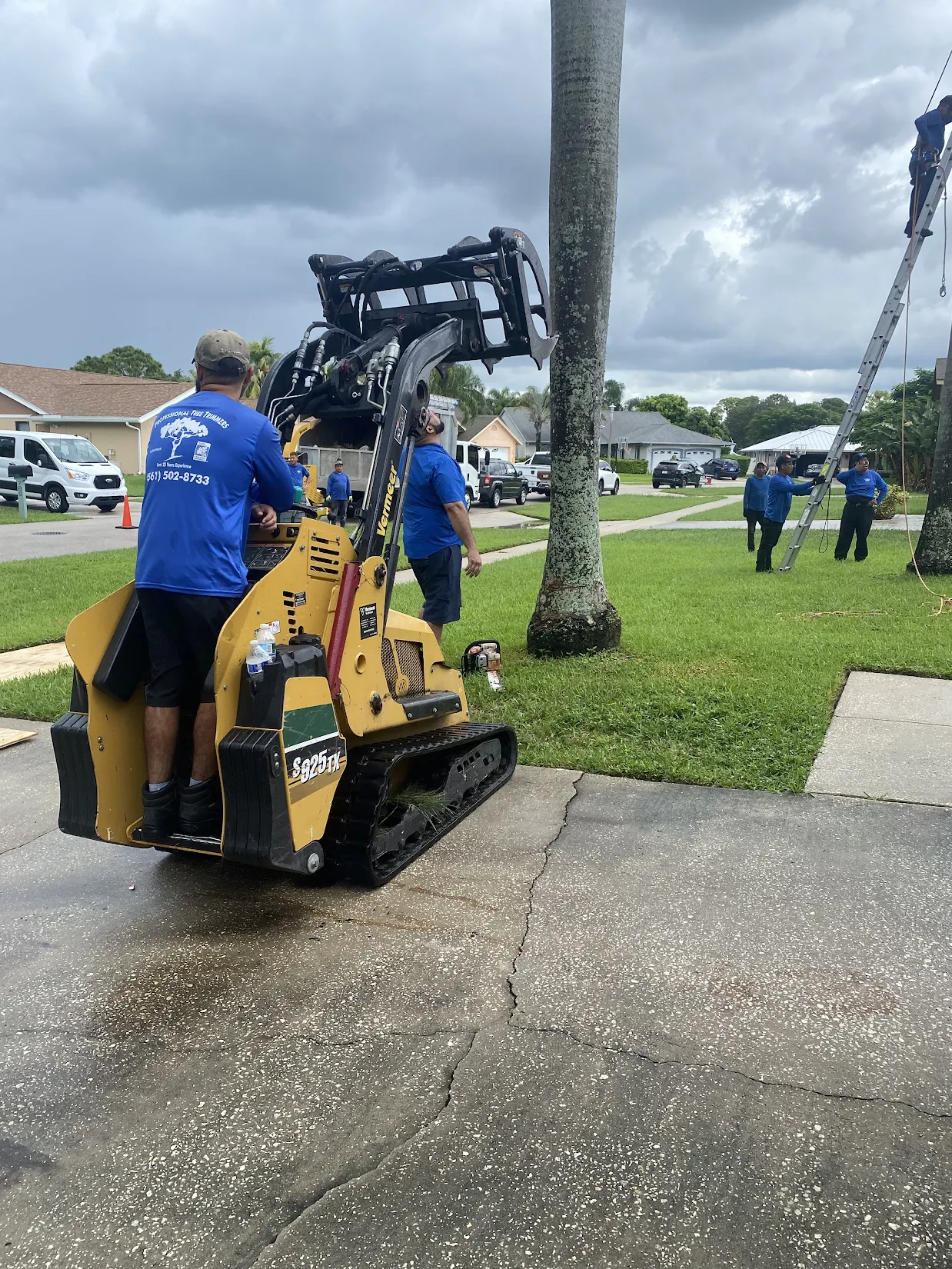 professional tree trimmers image 5