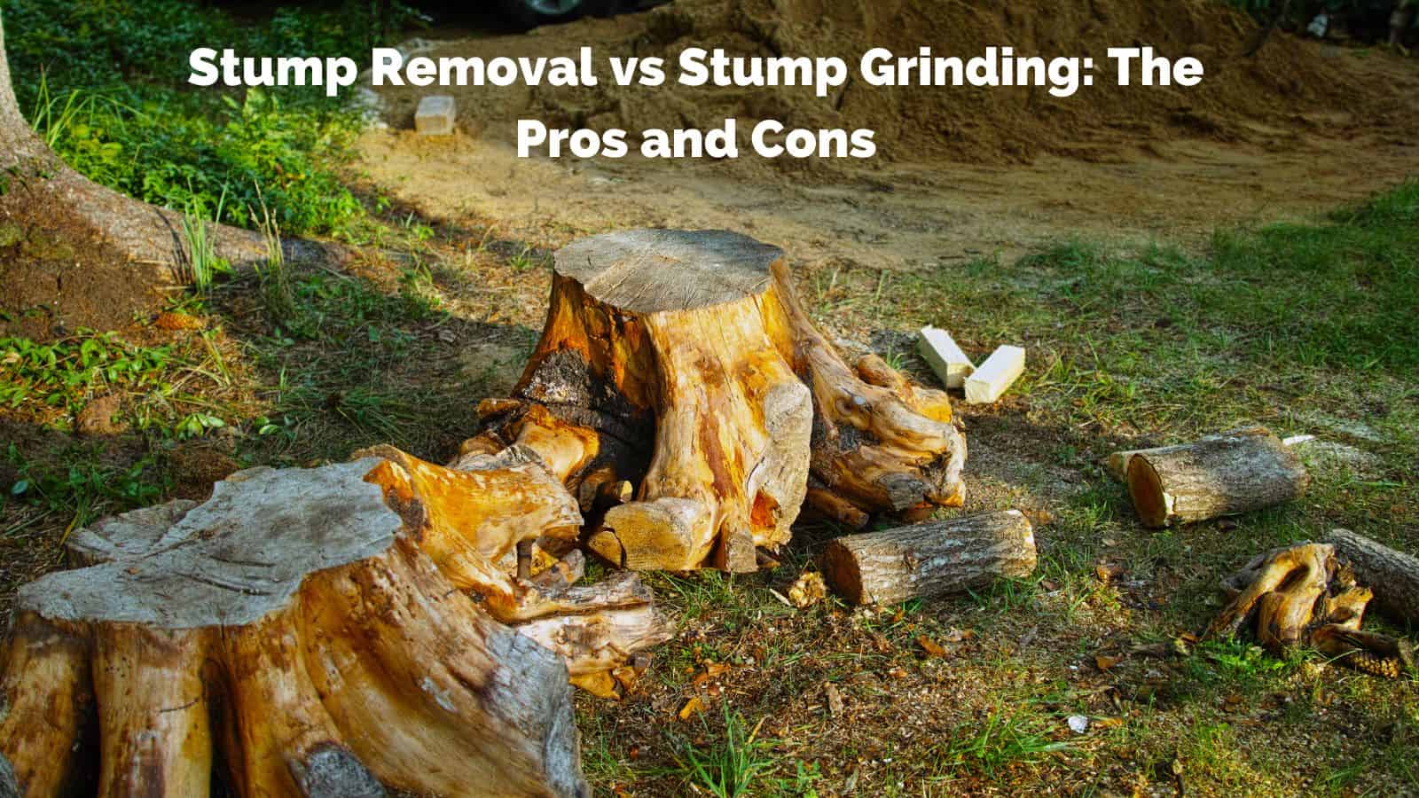stump removal vs grinding