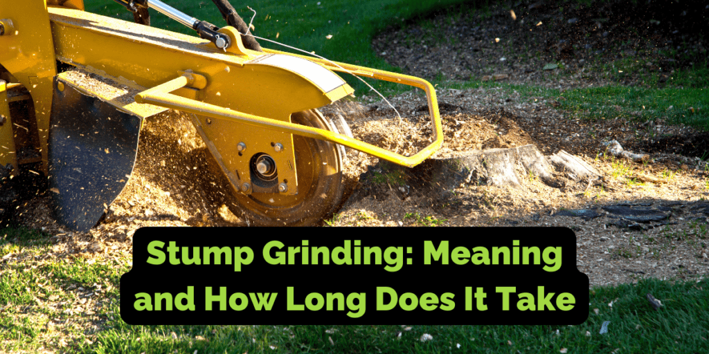 Stump grinding meaning