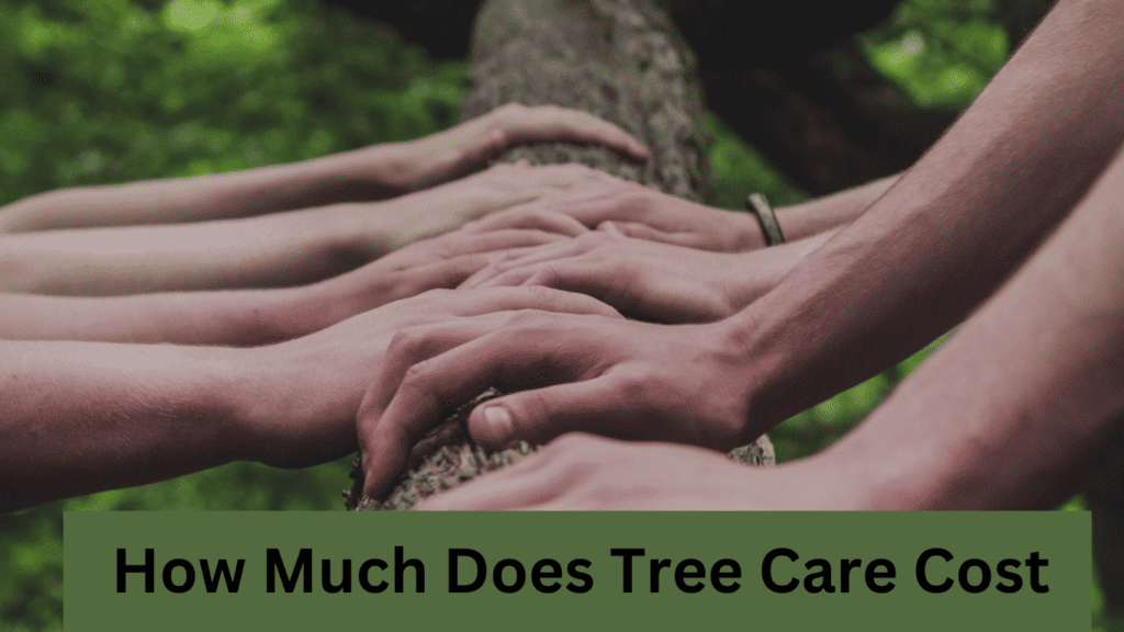 how much does tree care cost