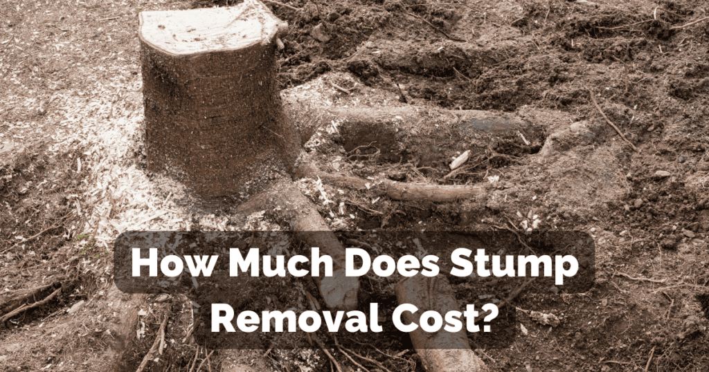 Stump Removal Cost