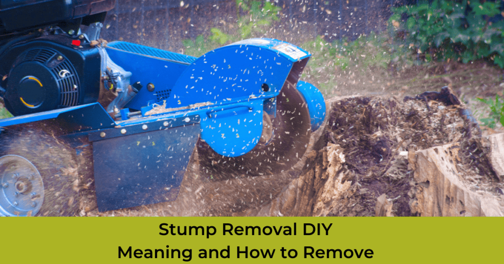 Stump Removal DIY