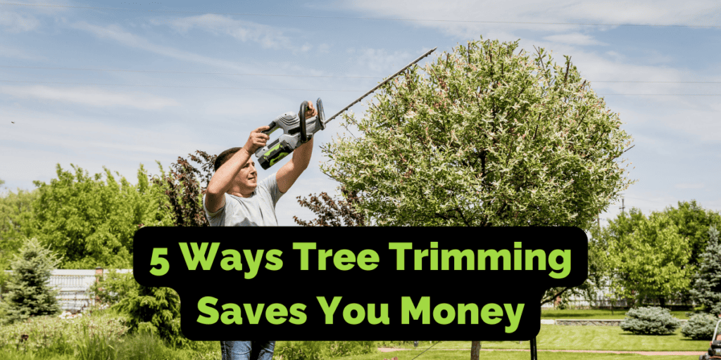 Tree Trimming Saves You Money