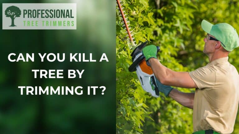 can you kill a tree by trimming it